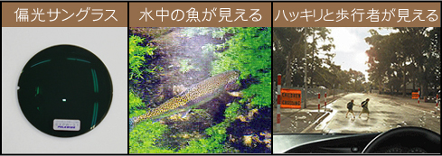 偏光サングラス