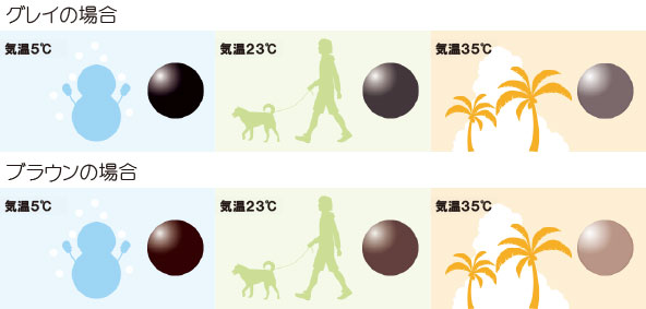 センシティーシャイン