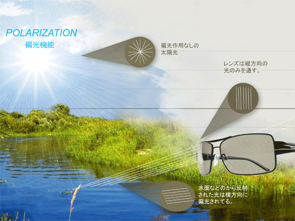 偏光レンズは縦方向のみの光りを通します。