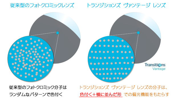 トランジションズ ヴァンテージ レンズの分子は、色付く+横に並んだ形 での偏光機能をもたらします。