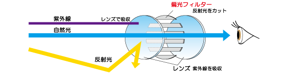 偏光レンズの見え方