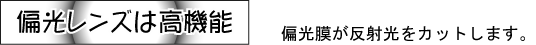 偏光レンズは高機能