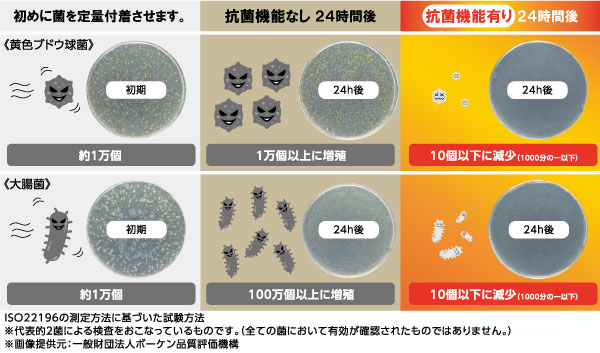 抗菌は、菌の増殖を抑制します。